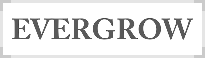 We help Finnish companies to grow in China - EverGrow