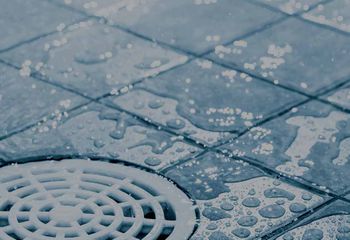 Movie Star suku puoli videoita